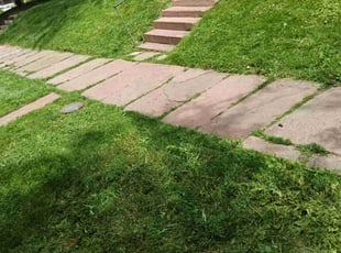 Cleanups by Tom Davis for Tim P. in Denver, CO