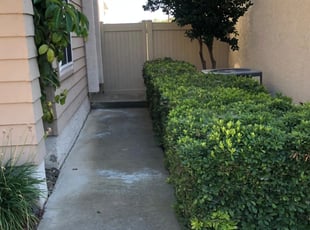Bush Trimming by Orlando Miranda for David W. in Spring Valley, CA