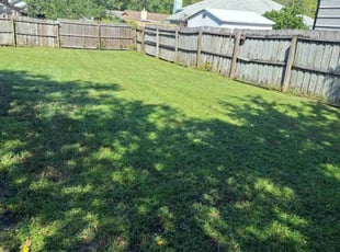Dennis F.'s Yard Cutting service result