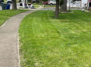 Leaf Removal by Buckeye Touch for Alyx G. in Columbus, OH