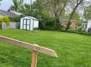 Dorthy G.'s Lawn Mowing service result