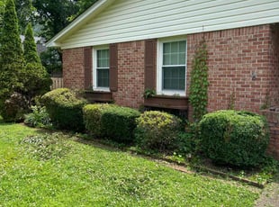 Bush Trimming by Xavier Haygood for WILLIAM G. in Huntsville, AL
