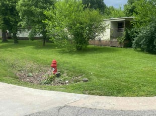 Felecia J.'s Lawn Service service result