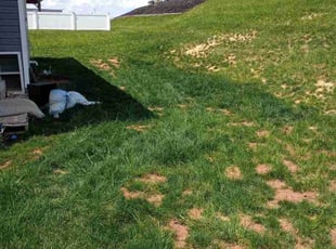 Landscaping by Philip Shoop for Justin D. in York, PA