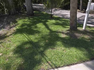 Stephanie B.'s Lawn Care service result