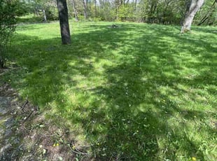 Cleanups by William Steiger for Kenneth L. in Lapeer, MI