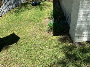 Leaf Removal by Michael Harris for Kerry S. in Jacksonville Beach, FL