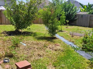 Cleanups by Pamela Gomez for Lin Z. in Houston, TX