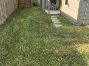 Patrick S.'s Lawn Care service result