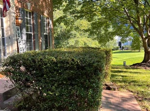 Bush Trimming by Khalim Yularnis for Niles P. in Manassas, VA