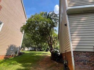 Cleanups by Angel Espinal for Shomari S. in Rock Hill, SC