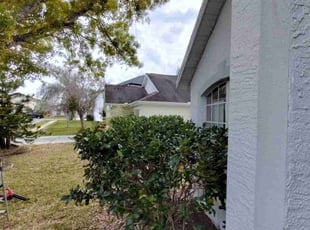 Bush Trimming by Luis Rodriguez for Steve C. in Orlando, FL