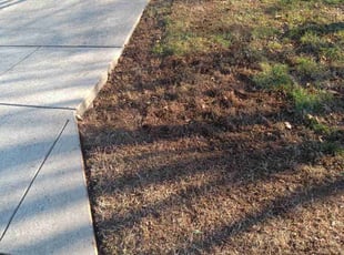 Leaf Removal by Matthew Ballard for Marietta I. in Charlotte, NC