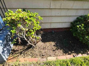 Weeding by Jay M for Jami S. in Norfolk, VA