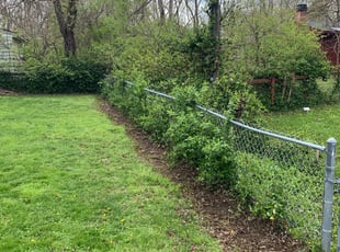 Leaf Removal by Broderick Wilson for Chestena R. in Indianapolis, IN