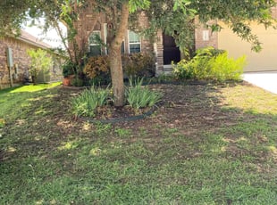 Weeding by Bradley Matthiesen for Samuel B. in Boerne, TX