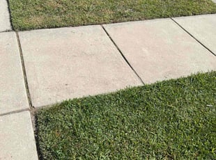 Paul G.'s Lawn Mowing Service service result