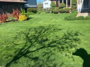 Christine Q.'s Grass Cutting service result