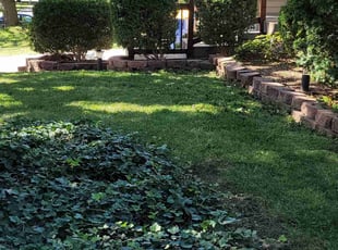 Bush Trimming by Steven J. Smith for Sadie O. in Lenexa, KS