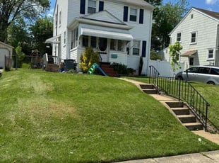 Mike B.'s Lawn Mowing service result