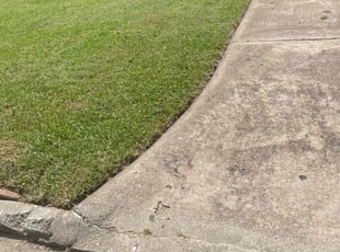 TERRY H.'s Lawn Service service result