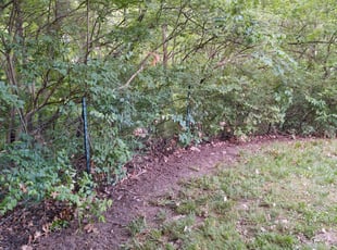 Leaf Removal by Dan Bower for Drew G. in Loveland, OH