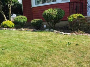 Bush Trimming by Efrain Colon for Elias C. in North Brunswick Township, NJ
