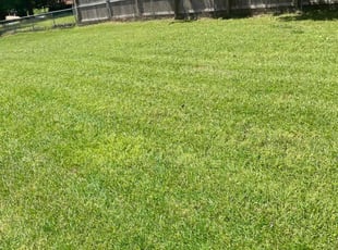 Deon M.'s Lawn Service service result