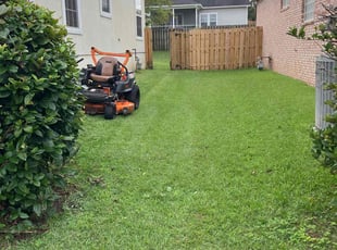 Anna S.'s Yard Cutting service result