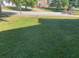 Willie J.'s Grass Cutting service result