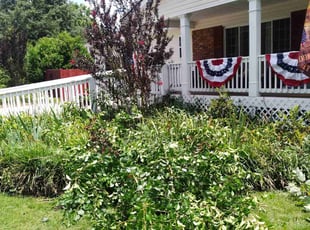 Weeding by Samuel George for Joe H. in Jonesboro, GA