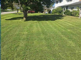 Glenda R.'s Lawn Mowing service result