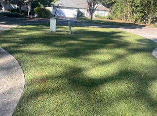 Memory W.'s Lawn Maintenance service result
