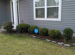Bush Trimming by Ben Thebault for Robert J. in White House, TN