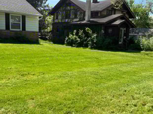 Ebony S.'s Lawn Mowing service result