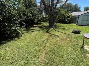 Cleanups by Marcos Aguilar for Mike B. in DeSoto, TX