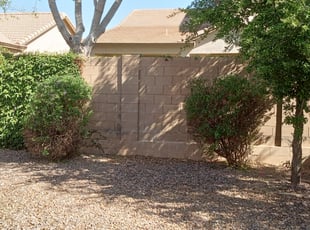 Bush Trimming by Toni Vaughn for Brian J. in Surprise, AZ