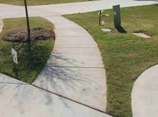 Bryan F.'s Yard Cutting service result
