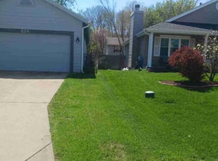 Michael K.'s Lawn Care service result