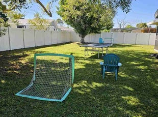 Layna S.'s Lawn Care service result