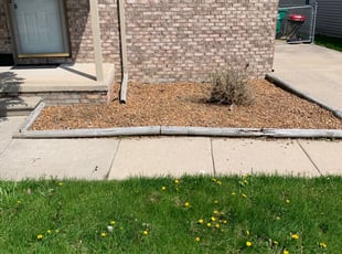 Weeding by Kyle Yacko for Tamyra H. in Eastpointe, MI