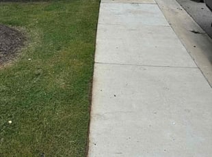 Robert G.'s Lawn Mowing service result