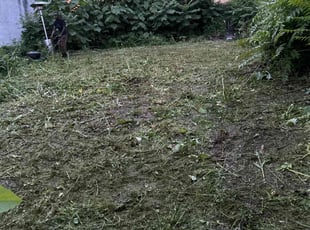 Leaf Removal by Ji'Ceya Moore-El for BriβAnna H. in Baltimore, MD