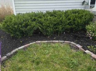 Bush Trimming by CHRISTOPHER SALYERS for Muna J. in Johnstown, OH