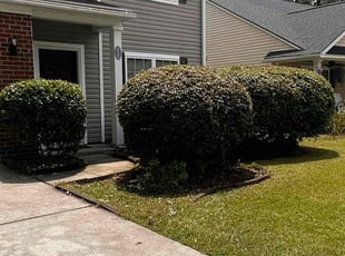 Bush Trimming by Antwain Turner for LaShonda S. in Ladson, SC