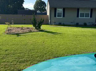 Ward N.'s Lawn Mowing service result