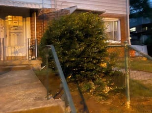 Bush Trimming by Brandon Weems for Tama T. in East Riverdale, MD