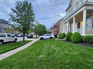 Aaron R.'s Lawn Care service result