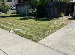 Shellise C.'s Yard Cutting service result