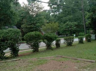 Bush Trimming by Lionel Lee for Mikayla S. in Decatur, GA